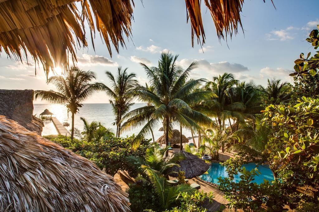 Xanadu Island Resort San Pedro  Rum bild